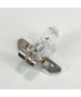 Lampe Halogène 6V 25W 4.2A PY16-1.25 3300K Narva (55147) Lampes 