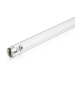 Tube fluorescent UVC 55V 15.5W 0.335A G13 PHILIPS (TUV15-9280390040) Lampes 