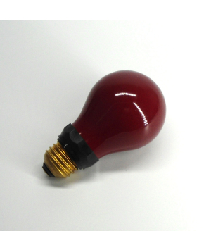 Lampe Incandescence 230V 15W E27 DR. FISCHER (77841422) 