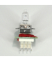 Lampe Halogène 12V 30W Special 3300K ELECTRICAL (LAVORAZIONE) Lampes 