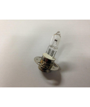Halogenlampe (H366) 