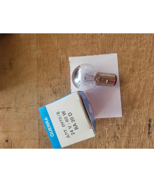 Incandescent Lamp (1022/J) 