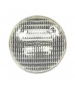 12V 100W A VITE PAR56