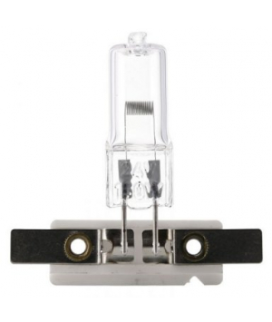 Halogenlampe 12V 50W PY24-1.5 (55205) 