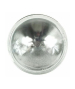 12V 50W PAR36 NARROW SPOT