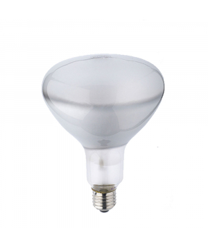 Glühlampe 220V 500W E27 3200K (PF318 BM) 