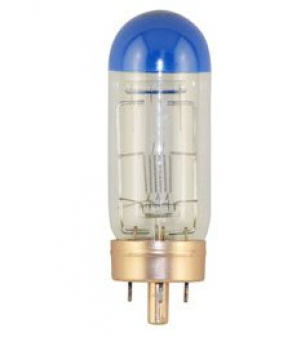Incandescent Lamp (130436) 
