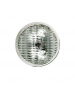 28V 150W PAR36