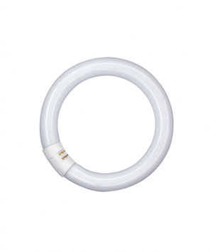 Tube fluorescent 22W G10Q 4000K OSRAM (L22840C) 