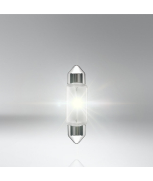 Halogen Lamp (6418) 