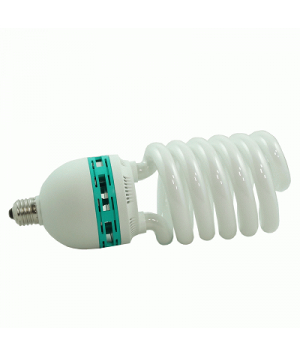 Incandescent Lamp (SYD105) 
