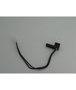 Lampe Halogène 6V 10W (RT1904) 
