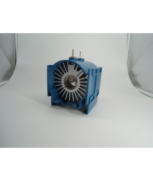XENON 300W MODULO WOLF