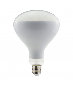 Lampe LED 250W E27 PHILIPS (WLD501152D) 