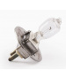 Halogenlampe 6V 20W PG22 (LT03089) Lampen 
