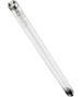 Leuchtstoffröhre (9000526 - G25T8) 