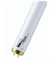 Leuchtstoffröhre 115V 100W 0.92A G13 (962833640) 