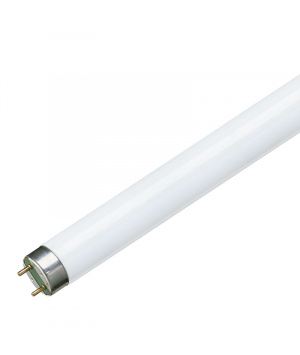 Fluorescent Tube 36.8W 0.44A G13 6500K (927921086544) 