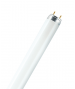Fluorescent Tube (L36954) 