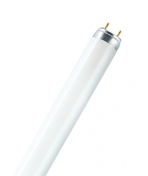 Tube fluorescent LUMILUX DE LUXE T8 L 36 W/954 ledvance