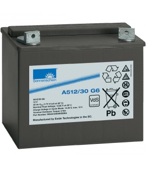 Batterie Sonnenschein blei Gel 12V 30Ah A512/30 G6