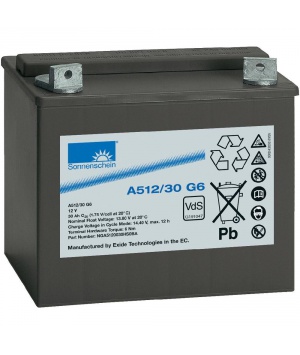 Sonnenschein batería de plomo Gel 12V 30Ah A512/30 G6