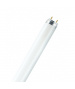 Tubo fluorescente (L3672) 