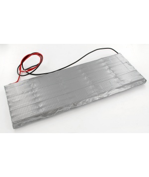 Batterie Ni-Mh 48V 3.8Ah pour Sécateur Electrocoup Infaco (F3000)