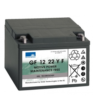 Batterie Plomb 12V 24Ah Exide (176X167X126) (GF12022YF) 