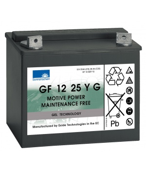 Batterie Plomb 12V 25Ah Exide (197X132X184) (GF12025YG) 