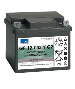 Batterie plomb Gel 12V 33Ah GF12033YG2 Dryfit