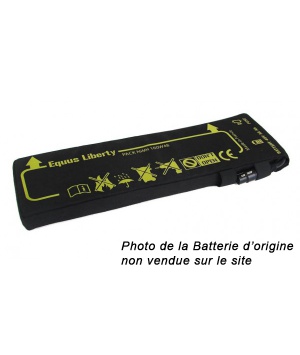 Rigenerazione batteria 48v Equus Liberty prima generazione