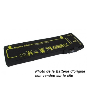 Battery restoration for 48v Equus Liberty first generation Battery restoration for 48v Equus Liberty first generation