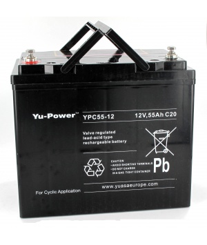 Batterie Plomb 12V 55Ah Yuasa (228X137X211) M5 (YPC55-12) 