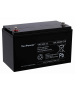 Batterie plomb Yu-Power 12V 100Ah YPC100-12 Yuasa