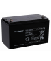 Batteria al piombo Yuasa 12V 100Ah Y100-12