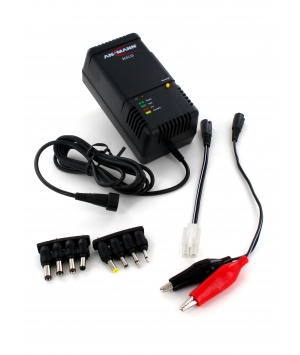 Chargeur ACS 110 pour batteries NiCd/NiMH de 1-10 cellules 1.2-12V