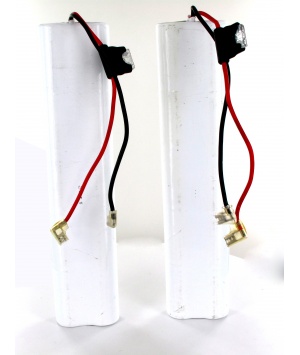 2 batteries 12V 4.5Ah for go up staircase ACORN 180, Bison 80 2 batteries 12V 4.5Ah for go up staircase ACORN 180, Bison 80