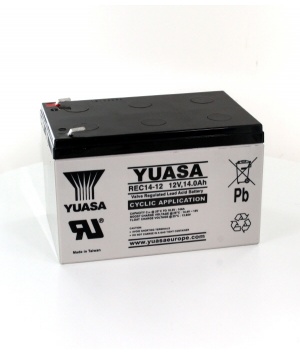 Batteria piombo Yuasa 12V 14Ah REC14-12 cicli