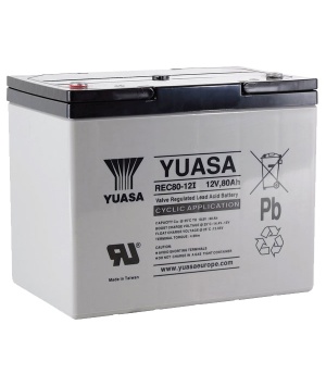 Batterie Plomb 12V 80Ah Yuasa (259X168X212) M6 (REC80-12I) 