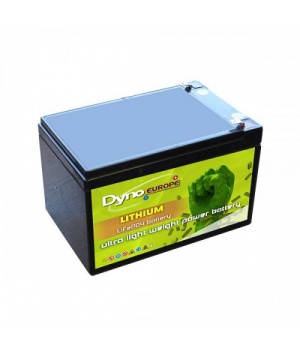 Battery Li-ion 12.8V 12Ah LIFEPO4 format lead NP12-12 Battery Li-ion 12.8V 12Ah LIFEPO4 format lead NP12-12