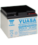 Batterie Plomb Yuasa 12V 24Ah Cyclique NPC24-12