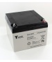 Batterie Plomb Yuasa YUCEL 12V 24Ah Y24-12IFR