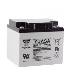 Batterie Plomb 12V 50Ah Yuasa (197X165X175) M5 (REC50-12I) 