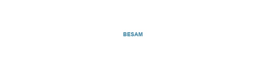 Besam